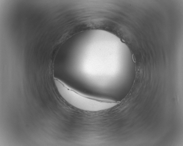 X0000071971012200607212312