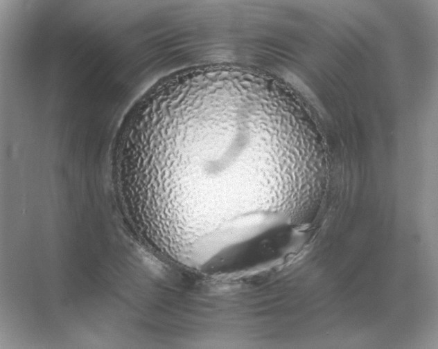 X0000071971023200607212313