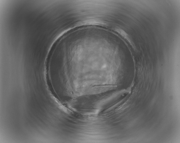 X0000071971024200607212313