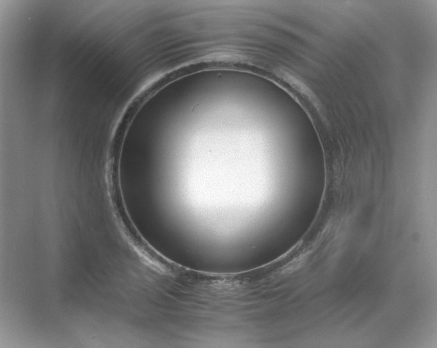X0000071971029200607212313