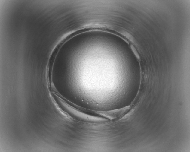 X0000071971030200607212313