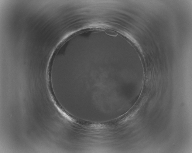 X0000071971037200607212313