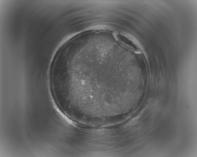 X0000071971045200607212313