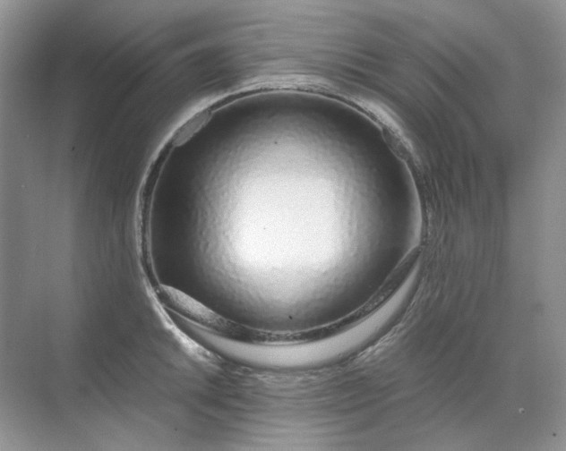 X0000071971046200607212313