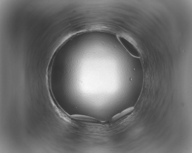 X0000071971047200607212313