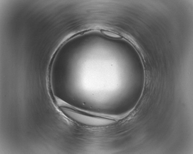 X0000071971048200607212313