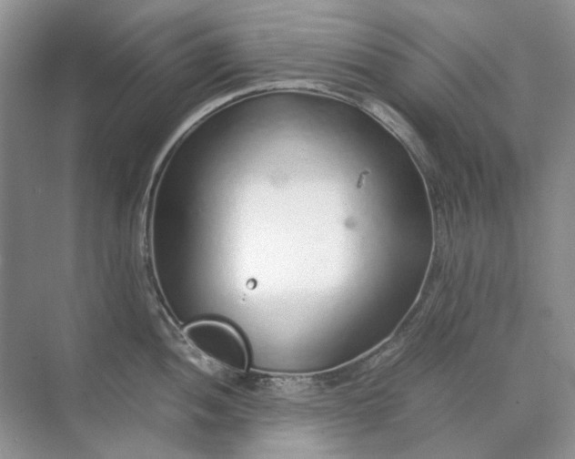 X0000071971052200607212313