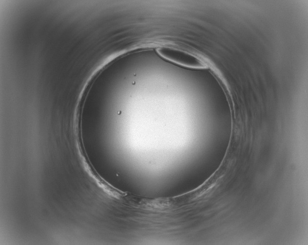 X0000071971053200607212313