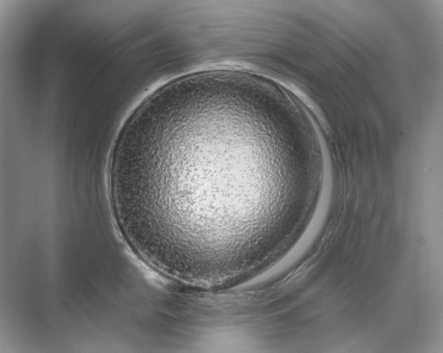 X0000071971054200607212313