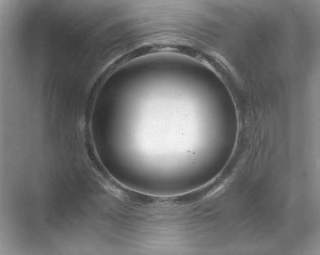 X0000071971065200607212312