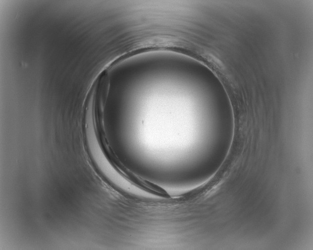 X0000071971081200607212312
