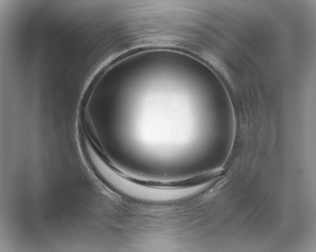 X0000071971085200607212312