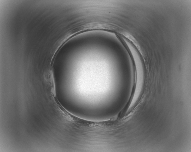X0000071971089200607212312