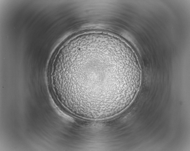 X0000071971090200607212312