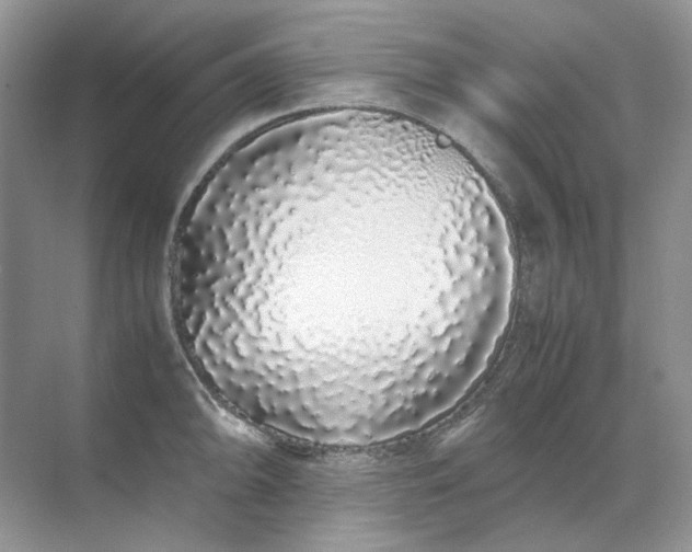 X0000071971094200607212312