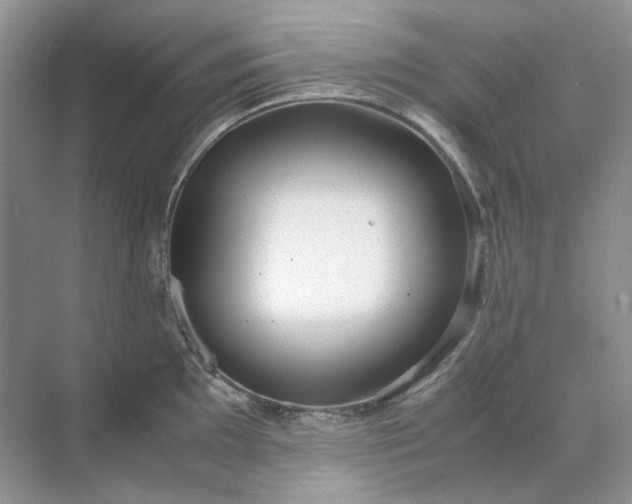 X0000071971097200607212312