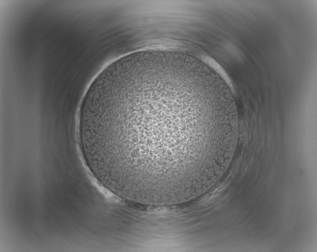 X0000071971099200607212312