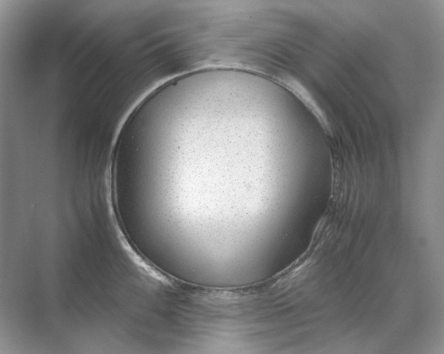 X0000071971100200607212312