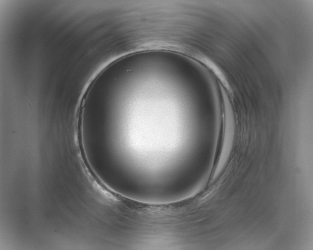 X0000071971102200607212311