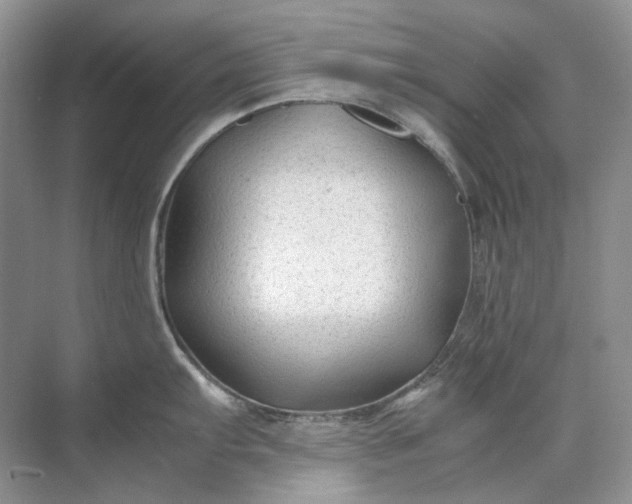 X0000071971103200607212311