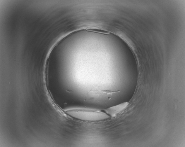 X0000071971104200607212311