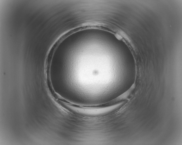 X0000071971124200607212311