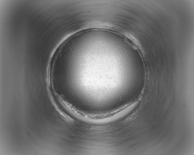 X0000071971128200607212311