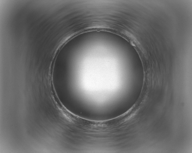 X0000071971129200607212311