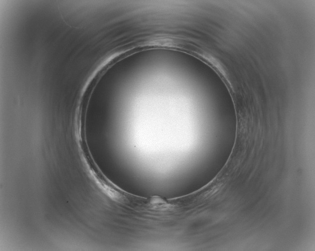 X0000071971131200607212311