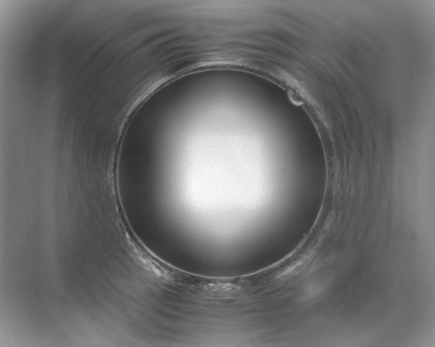 X0000071971137200607212311