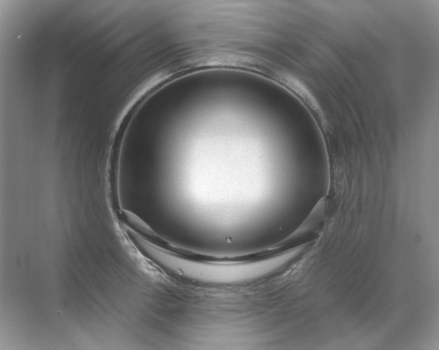 X0000071971138200607212311