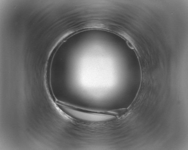 X0000071971139200607212311