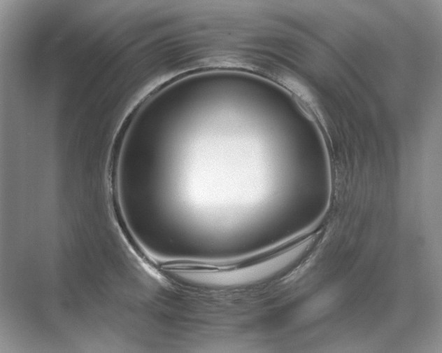 X0000071971141200607212311