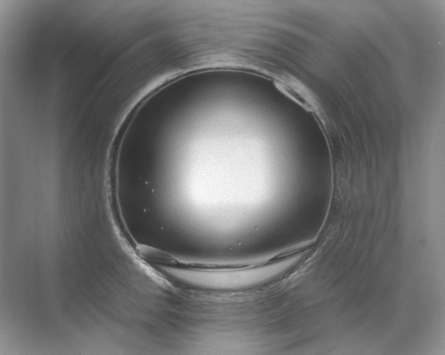 X0000071971142200607212311