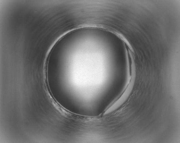 X0000071971148200607212311