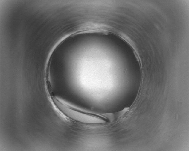 X0000071971152200607212311