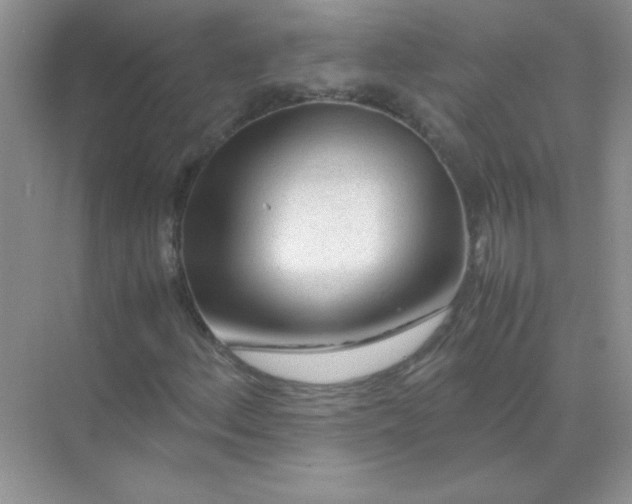 X0000071971156200607212311