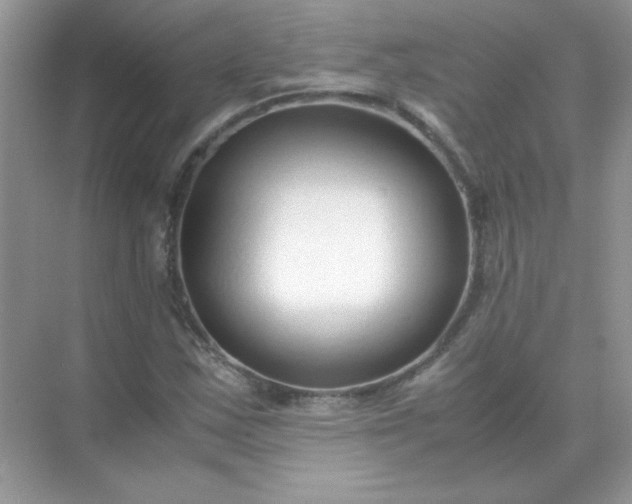 X0000071971163200607212310