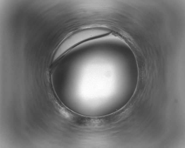 X0000071971177200607212310