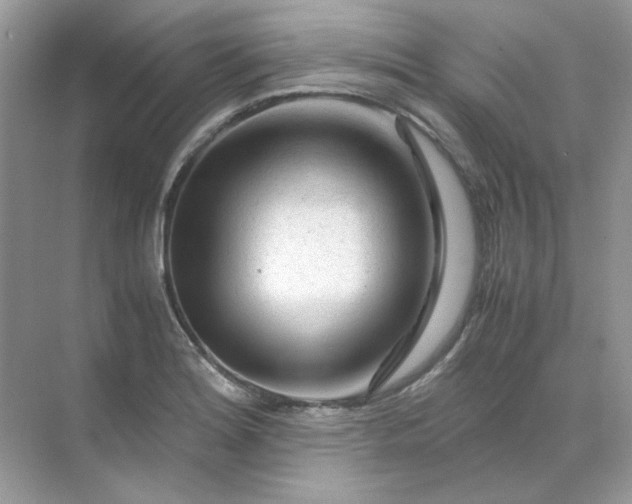 X0000071971180200607212310