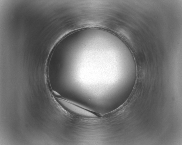 X0000071971182200607212310