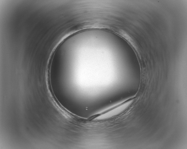 X0000071971187200607212310
