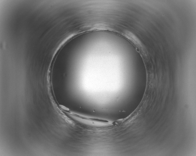 X0000071971190200607212310