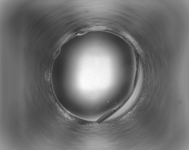 X0000071971193200607212310