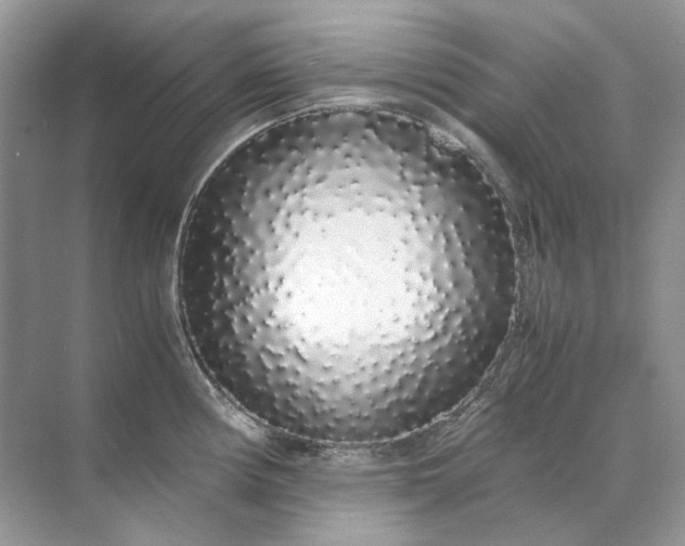 X0000071971194200607212310