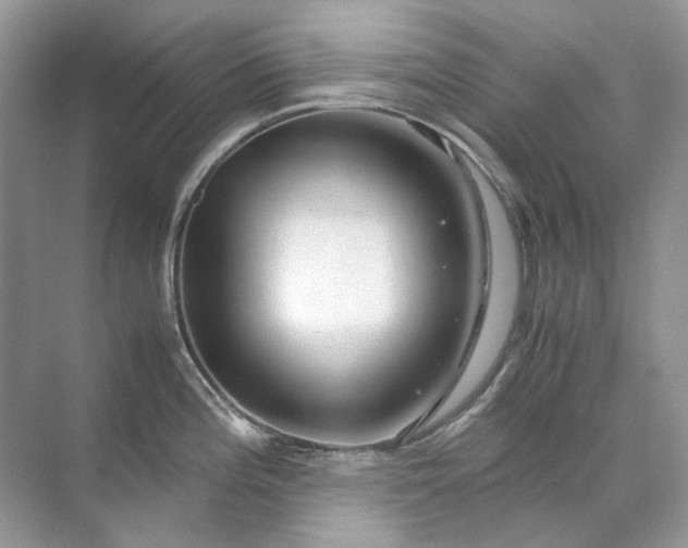 X0000071971196200607212310