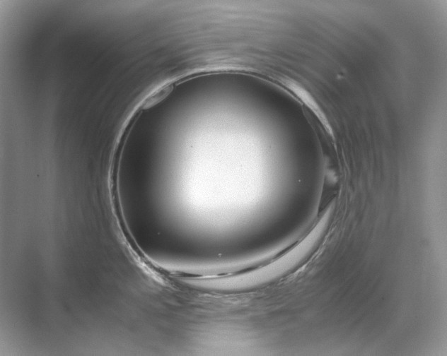 X0000071971197200607212310