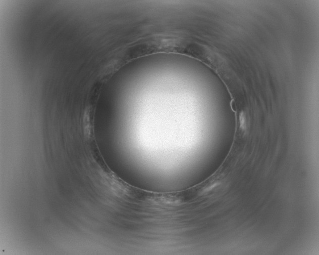 X0000071971203200607212309