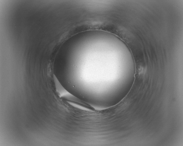 X0000071971204200607212309