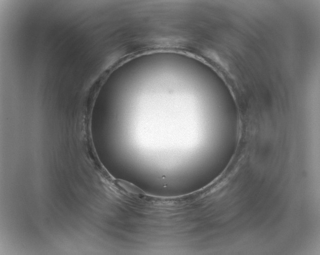 X0000071971211200607212309